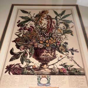 Floral Botanical Art Print (January only)